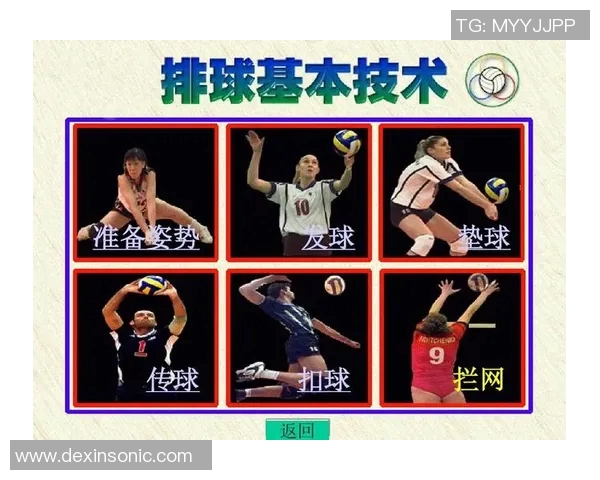 广州排球队的节奏打法深度分析与战术解读