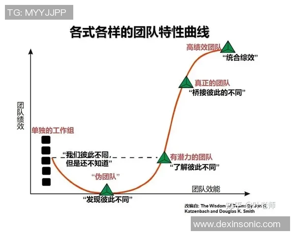 成都羽毛球队在世锦赛中的团队协作表现分析与启示 成都羽毛球队在世锦赛中的团队协作表现分析与启示