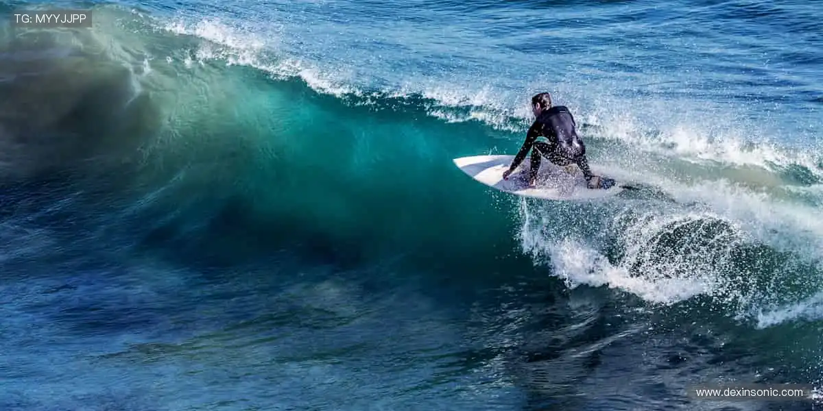 ⚽️ 绿茵激战，等你来见证奇迹！