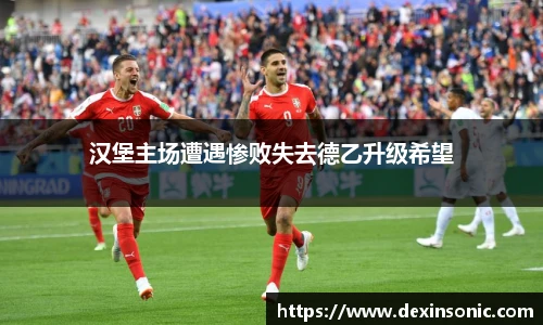 汉堡主场遭遇惨败失去德乙升级希望